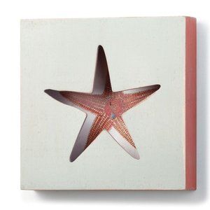 The Nathan Murrell Collection Starfish Shadow Box